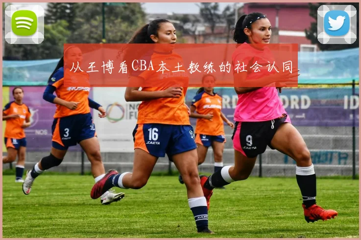 从王博看CBA本土教练的社会认同
