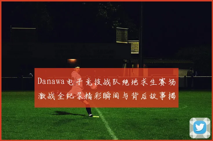 Danawa电子竞技战队绝地求生赛场激战全纪录精彩瞬间与背后故事揭秘