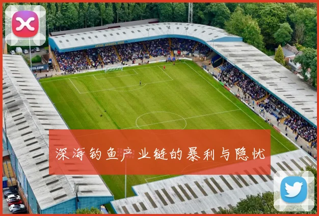 深海钓鱼产业链的暴利与隐忧