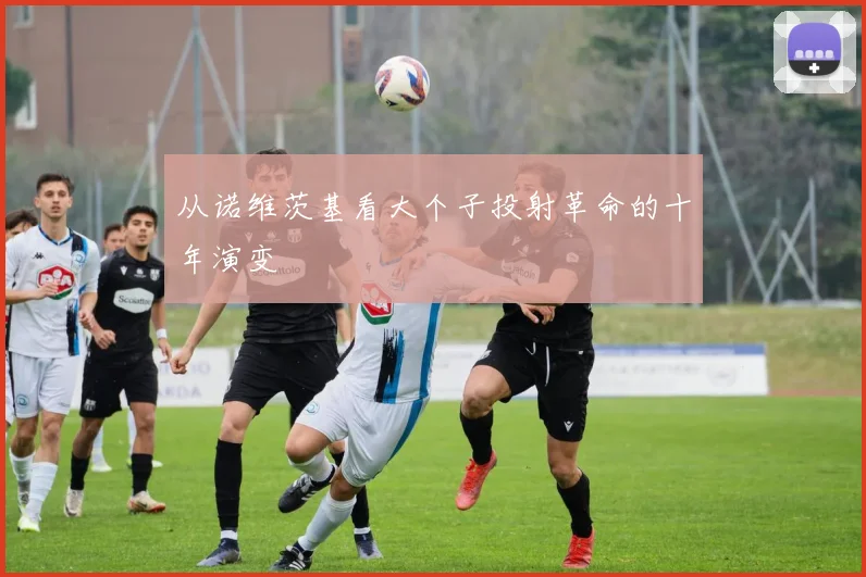 从诺维茨基看大个子投射革命的十年演变