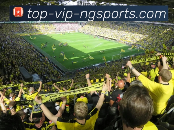 ng体育品牌故事