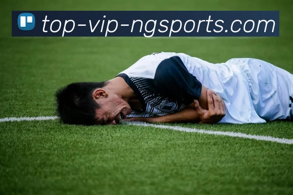 ng体育服务体系